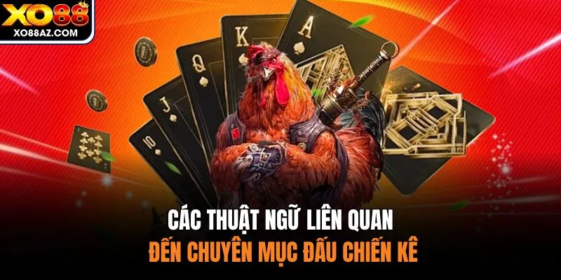 Các thuật ngữ liên quan đến chuyên mục đấu chiến kê