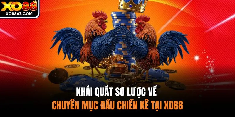 Khái quát sơ lược về chuyên mục đấu chiến kê tại XO88