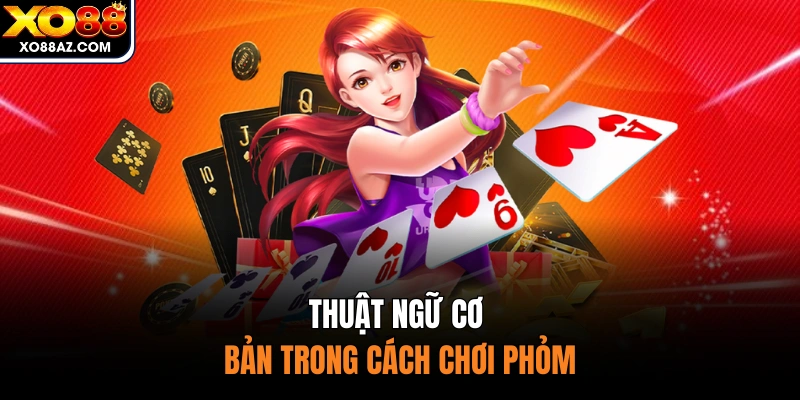 Thuật ngữ cơ bản trong cách chơi phỏm
